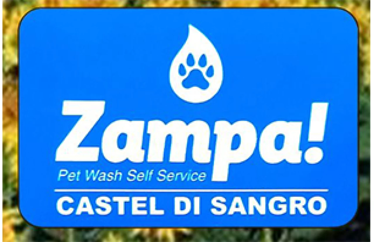Banner Zampa Pet Wash 306 per 198 pixel